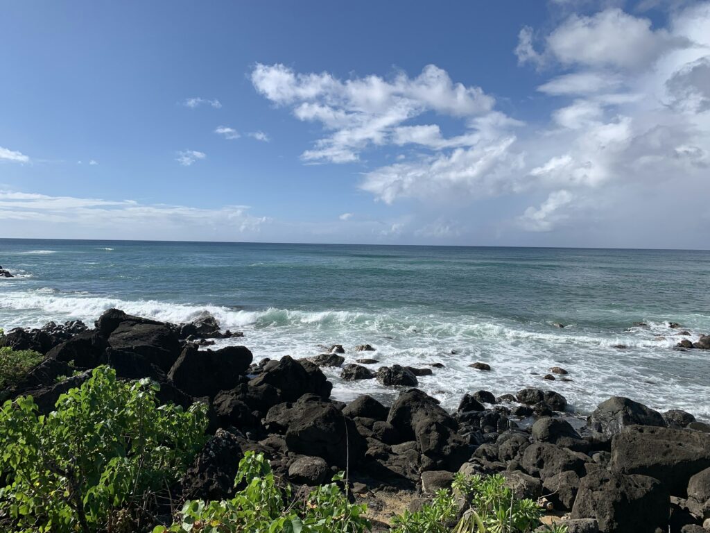 Rocky North Shore coastline