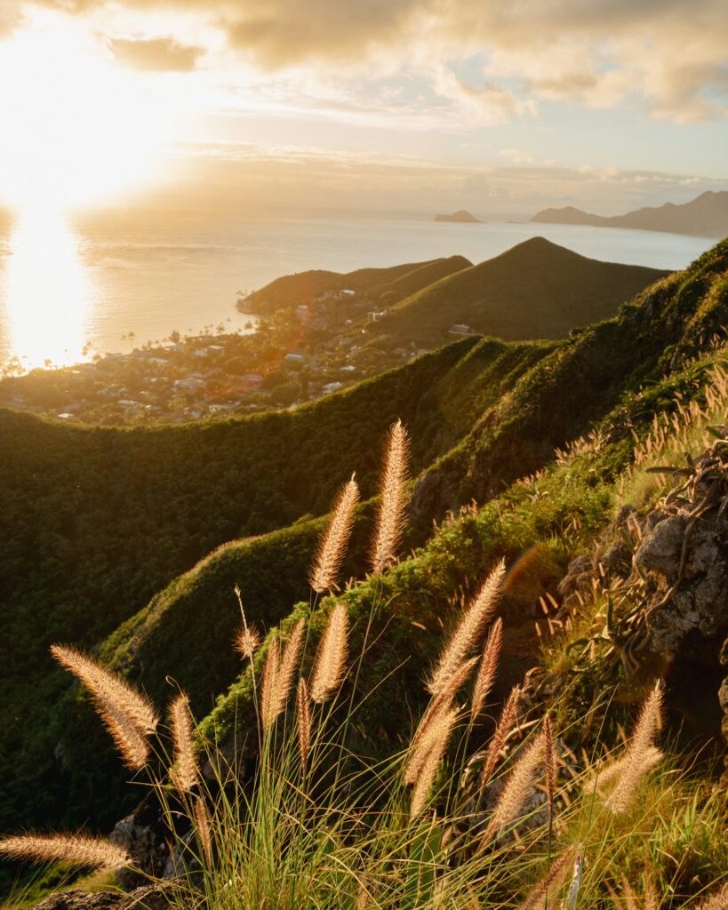Grassy hillside overlooking the water