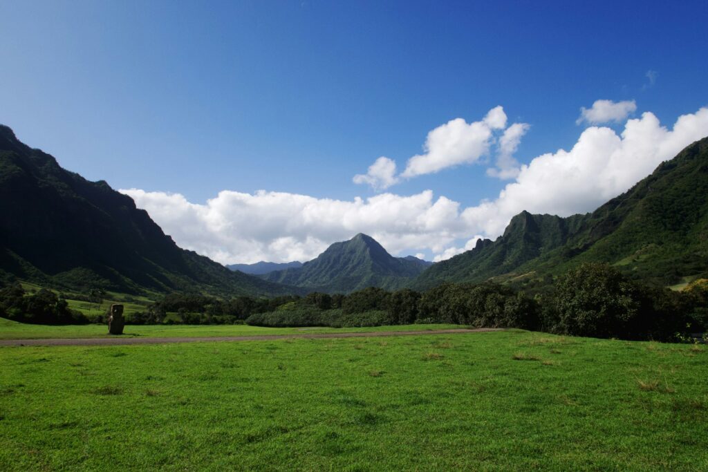 Green fields with mountains behind