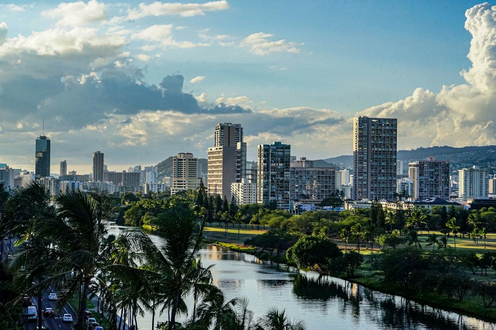 Honolulu city towers and park