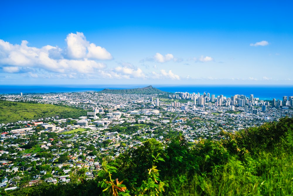 Honolulu view from the hillside