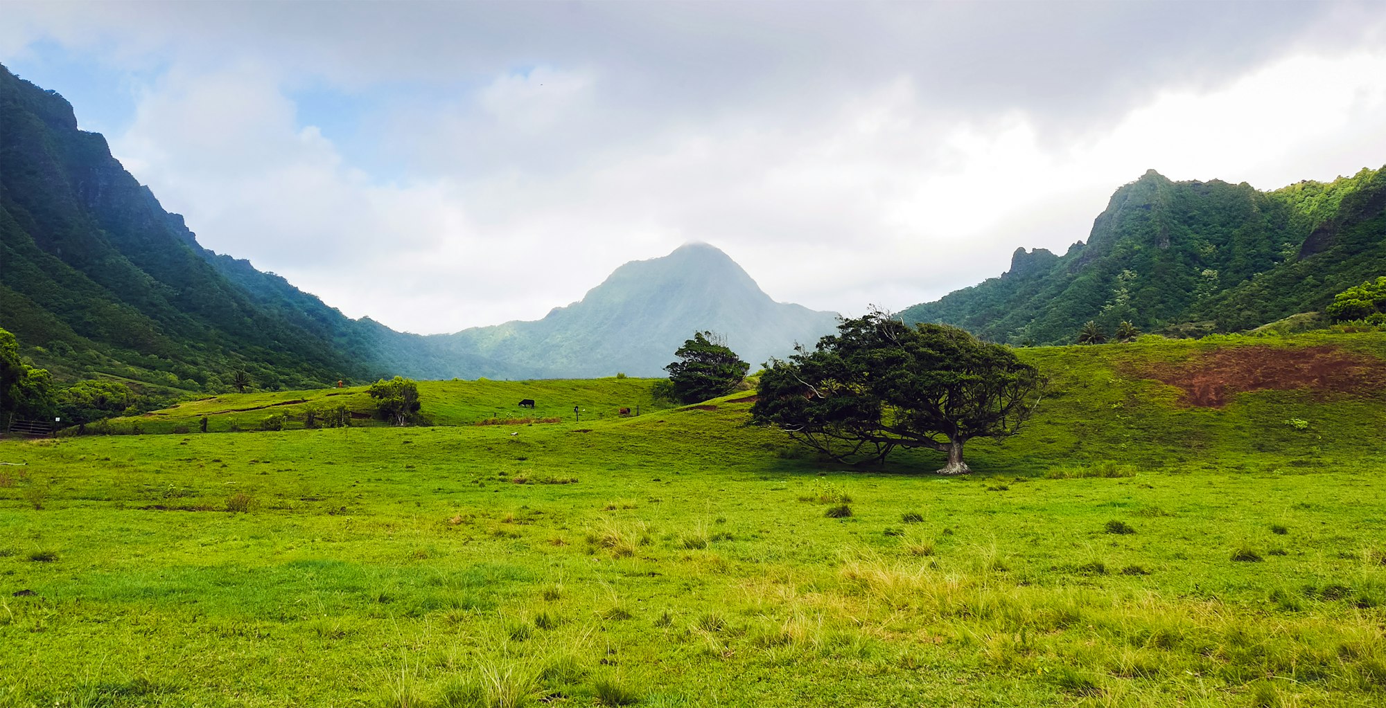 Open green fields with mountains behind on Oahu