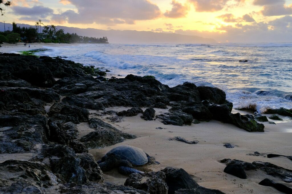 Sunset over a rocky North Shore beach